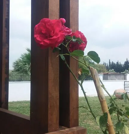 Pensión Liberta Seferihisar