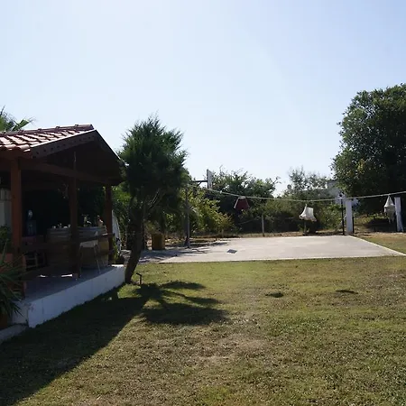 Liberta 세페리히사르